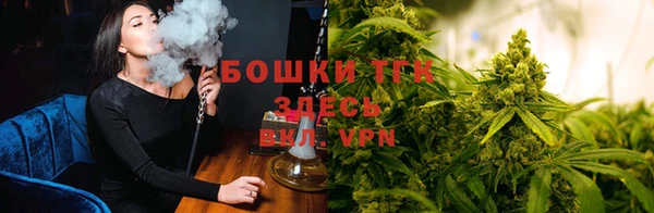 ешки Сафоново