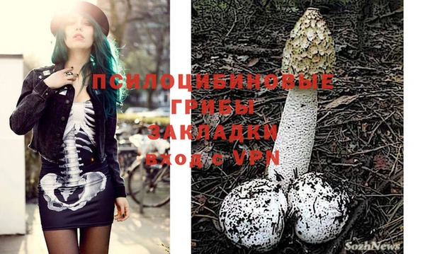 дживик Вязники
